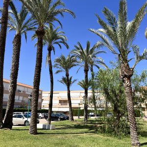 2024-09-15_14-05-03_265