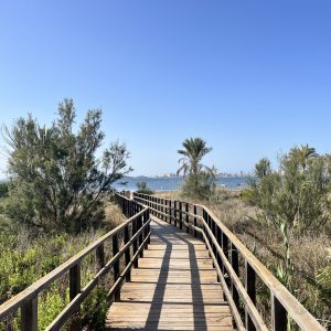 Caminos a la playa 3