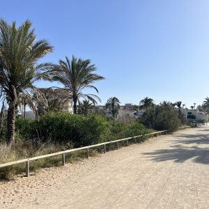 Caminos a la playa