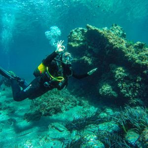 gr-cms-media-featured_images-none-36656896-7c01-4134-ad1c-f3d927ce2adf-buceando75